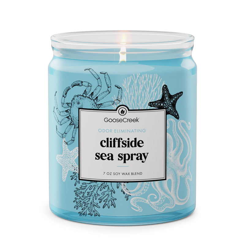 Odor Eliminating 7oz Single Wick Candle E6