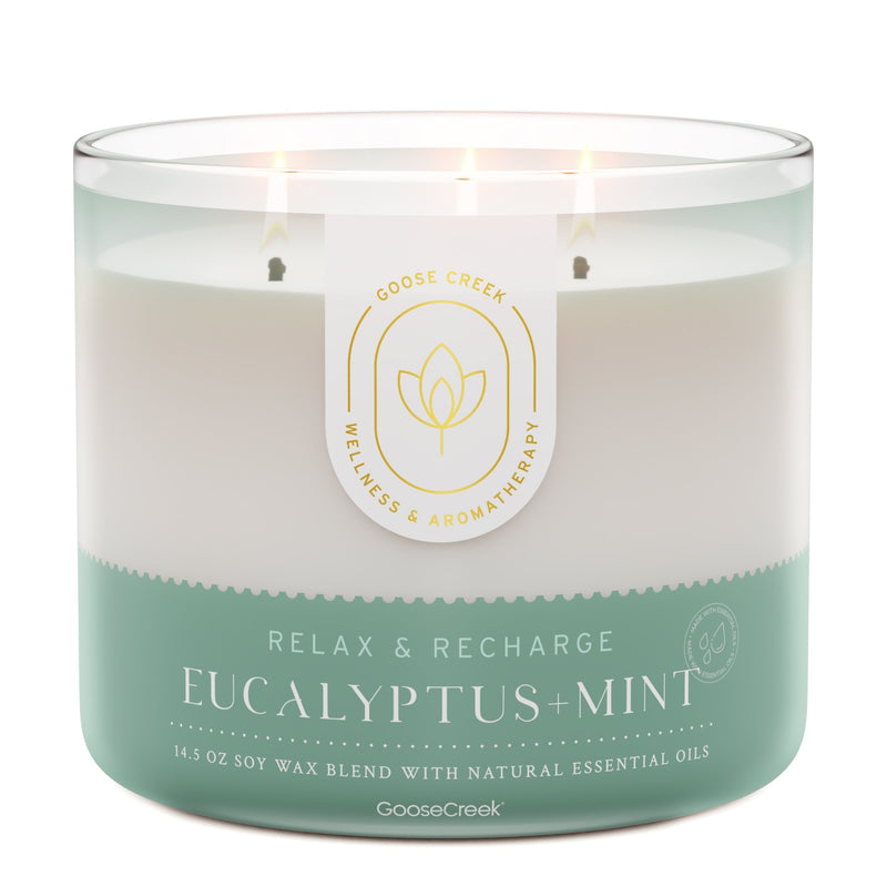 Aromatherapy 3-Wick Candle B4